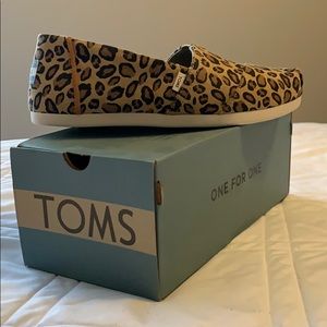 Leopard print Toms slip on shoes